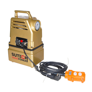 Portable electric pump